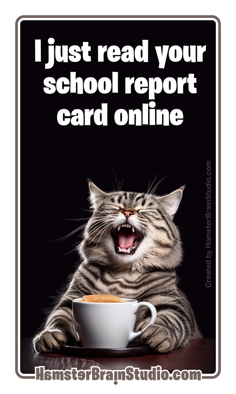 School report card