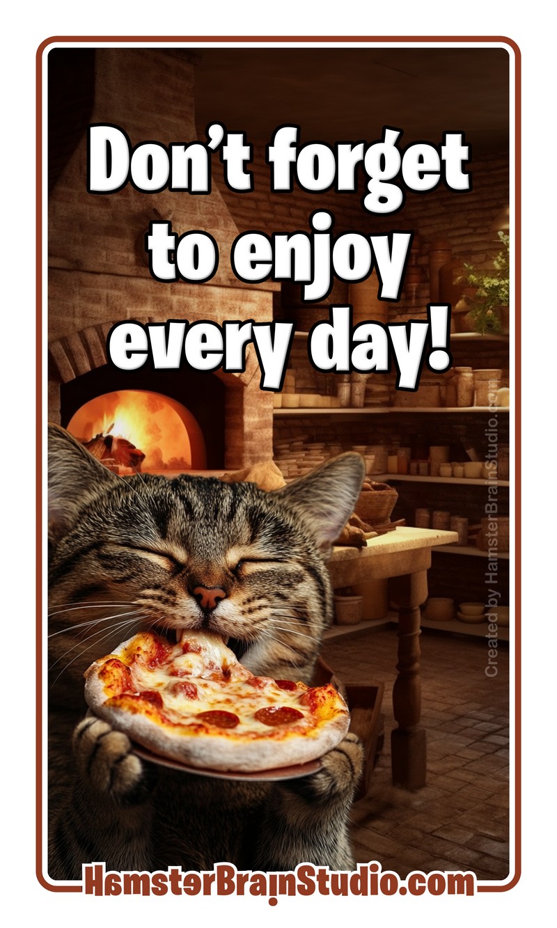 Pizza and cat