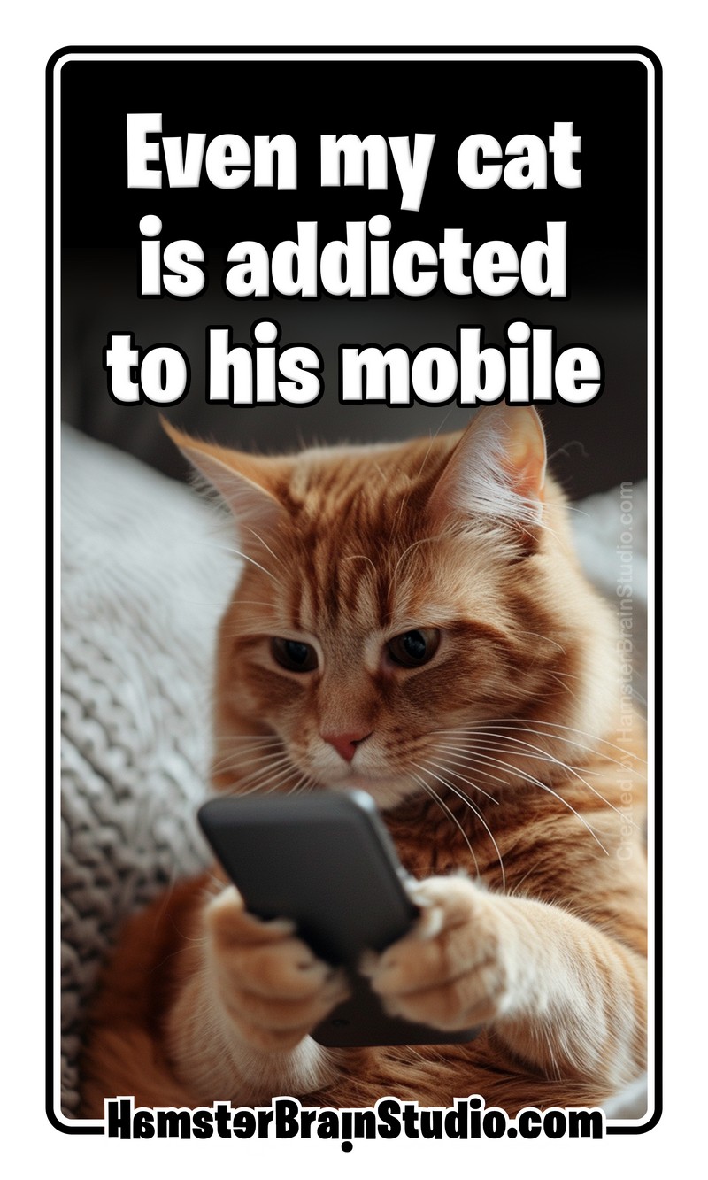 Mobiles and cats
