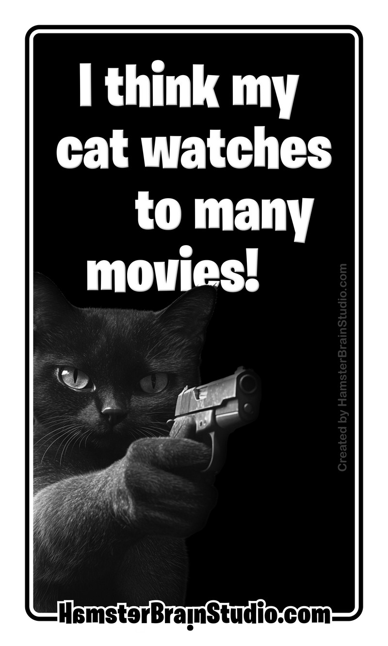 Cats and movies